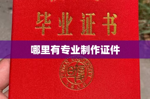 莲都哪里有专业制作证件
