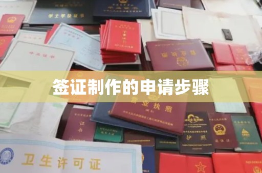 莲都签证制作的申请步骤