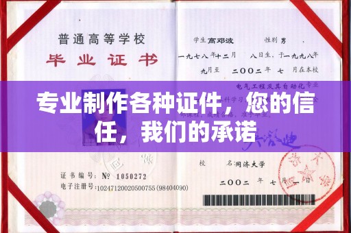 莲都专业制作各种证件，您的信任，我们的承诺