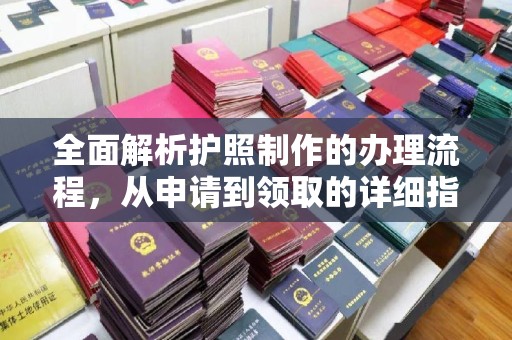 莲都全面解析护照制作的办理流程，从申请到领取的详细指南