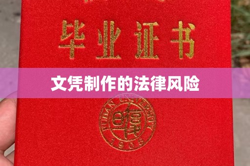莲都文凭制作的法律风险