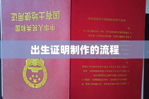莲都出生证明制作的流程