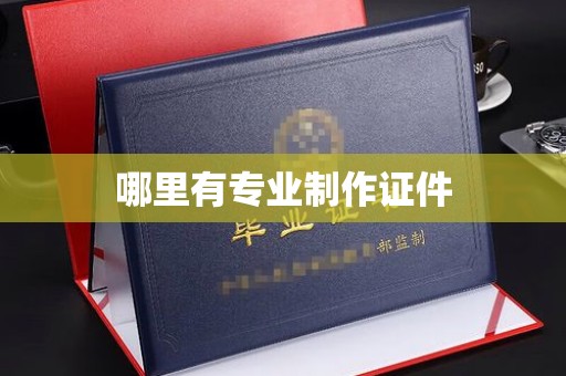 莲都哪里有专业制作证件