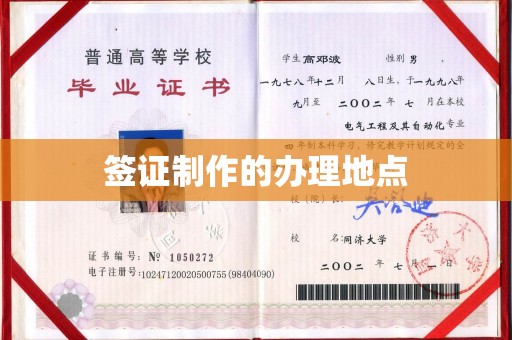 莲都签证制作的办理地点
