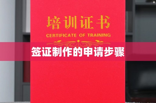 莲都签证制作的申请步骤