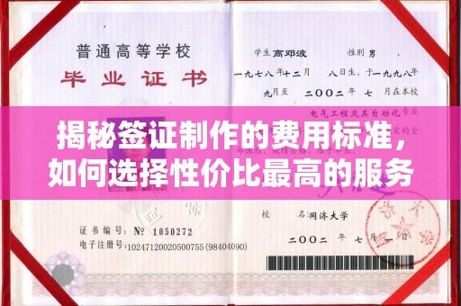 莲都揭秘签证制作的费用标准，如何选择性价比最高的服务？