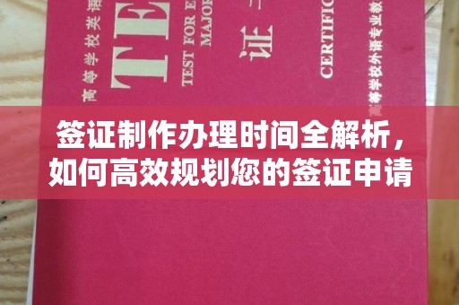 莲都签证制作办理时间全解析，如何高效规划您的签证申请流程