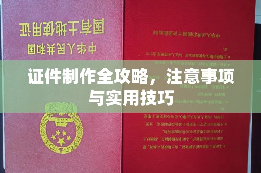莲都证件制作全攻略，注意事项与实用技巧